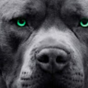 Meet your Posher, Jamaar